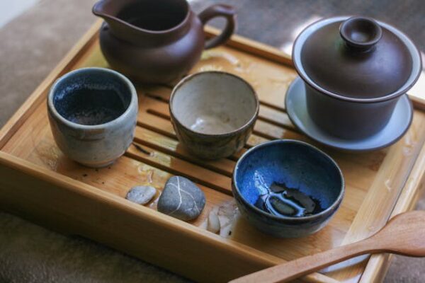 gongfucha2 oolong theeproeverij